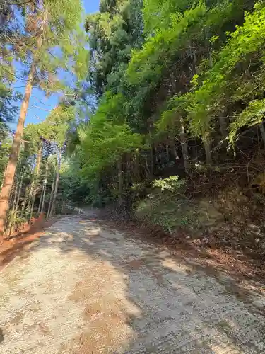 竜王窟(徳島県)