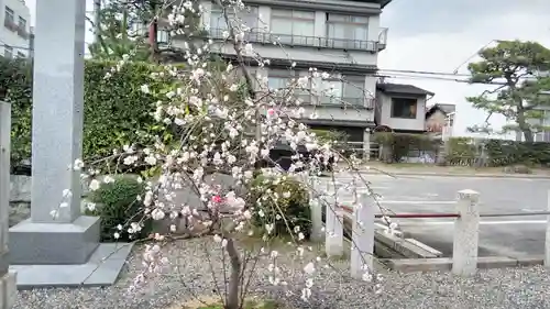 聖護院門跡の庭園