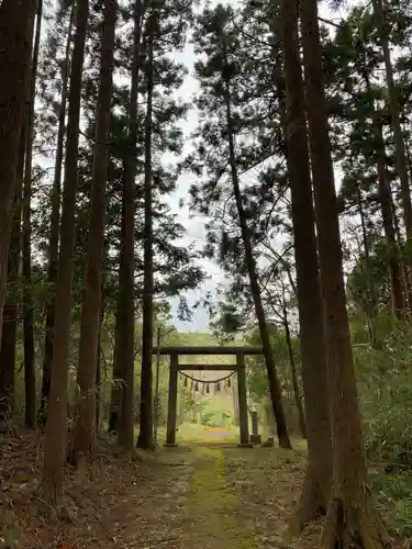 大山祇神社の鳥居