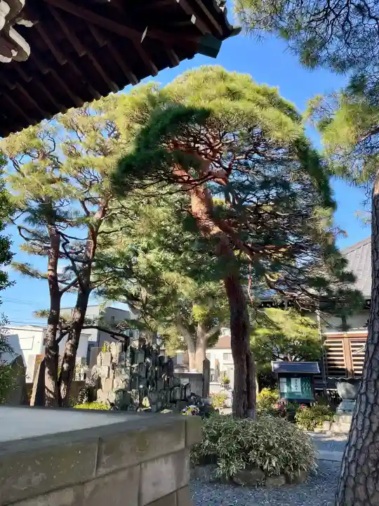 光明寺の{uncategorized: "未分類", other: "その他", undefined: "問題あり", building: "その他建物", grave: "お墓", sacred_gate: "鳥居", guardian: "狛犬", statue: "像", buddha: "仏像", history: "歴史", nature: "自然", garden: "庭園", animal: "動物", pagoda: "塔", temizu: "手水舎", mountain_gate: "山門・神門", sanctuary: "本殿・本堂", subordinate: "末社・摂社", art: "芸術", scenery: "景色", jizo: "地蔵", ema: "絵馬", goshuin: "御朱印", omikuji: "おみくじ", items: "授与品その他", amulet: "お守り", goshuincho: "御朱印帳", eats: "食事", festival: "お祭り", votive_dance: "神楽", shichigosan: "七五三参", wedding: "結婚式", experience: "体験その他", initially: "初詣", around: "周辺", anti_infection: "感染症対策"}