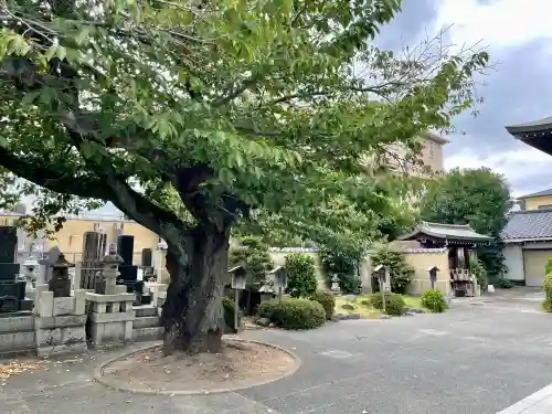 延台寺(神奈川県)