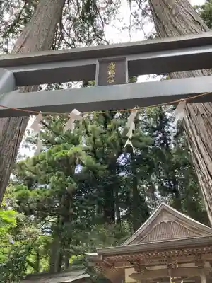 九頭龍神社(東京都)