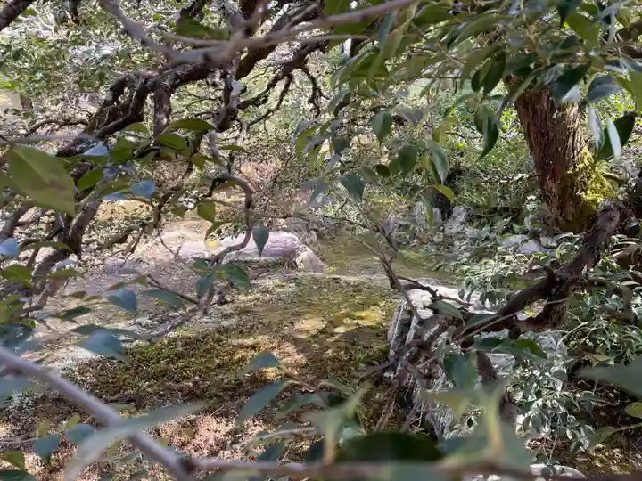 壽聖院(京都府)