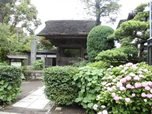 極楽寺（霊鷲山感應院極楽律寺）の山門