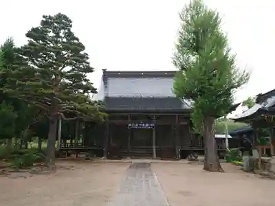 了徳寺の本殿・本堂