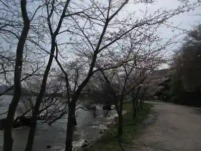 藤ヶ崎龍神社(滋賀県)