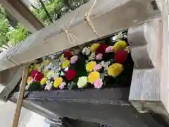 鳩森八幡神社の手水