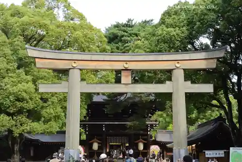 明治神宮(東京都)