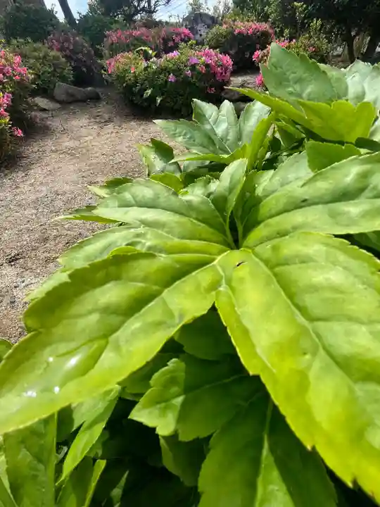 大鏑神社(福島県)
