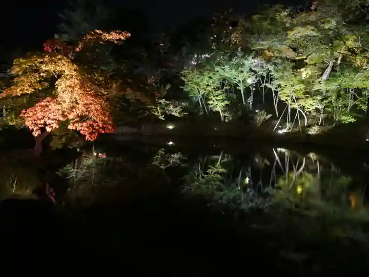高台寺(高台寿聖禅寺・高臺寺)の景色