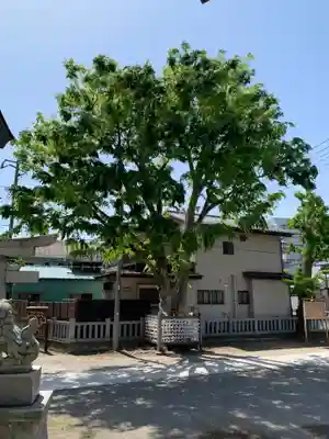 日枝神社（相之川）(千葉県)
