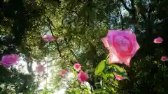 尾張大國霊神社（国府宮）の自然