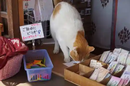 前玉神社の動物