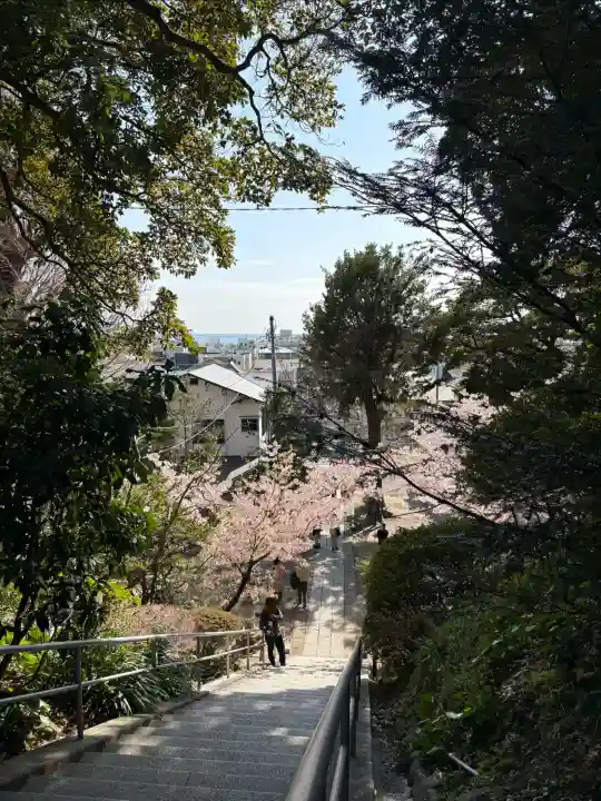 甘縄神明神社(甘縄神明宮)の{uncategorized: "未分類", other: "その他", undefined: "問題あり", building: "その他建物", grave: "お墓", sacred_gate: "鳥居", guardian: "狛犬", statue: "像", buddha: "仏像", history: "歴史", nature: "自然", garden: "庭園", animal: "動物", pagoda: "塔", temizu: "手水舎", mountain_gate: "山門・神門", sanctuary: "本殿・本堂", subordinate: "末社・摂社", art: "芸術", scenery: "景色", jizo: "地蔵", ema: "絵馬", goshuin: "御朱印", omikuji: "おみくじ", items: "授与品その他", amulet: "お守り", goshuincho: "御朱印帳", eats: "食事", festival: "お祭り", votive_dance: "神楽", shichigosan: "七五三参", wedding: "結婚式", experience: "体験その他", initially: "初詣", around: "周辺", anti_infection: "感染症対策"}