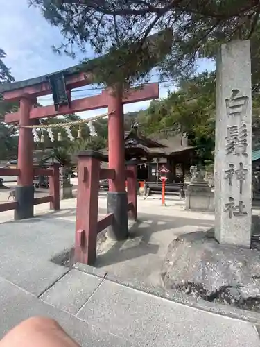 白鬚神社の鳥居