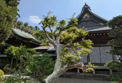 埴生神社(千葉県)