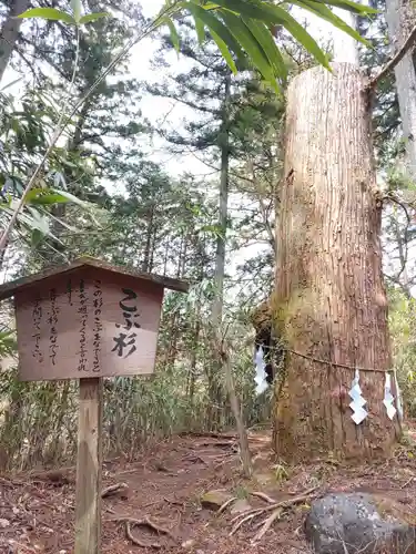 本宮神社（日光二荒山神社別宮）(栃木県)