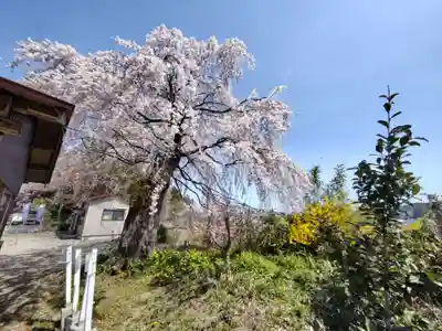 羽生天神社(宮城県)