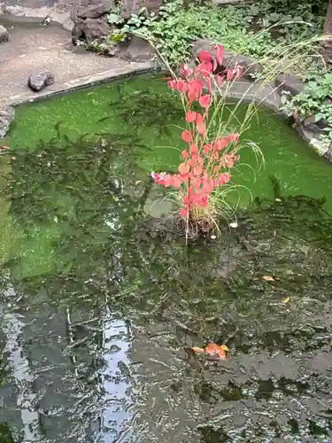 羽衣町厳島神社（関内厳島神社・横浜弁天）(神奈川県)