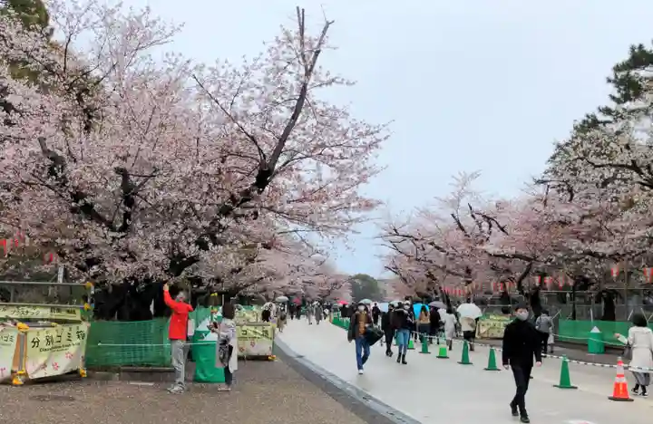 上野東照宮の自然