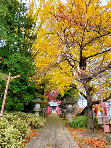 神炊館神社 ⁂奥州須賀川総鎮守⁂の自然
