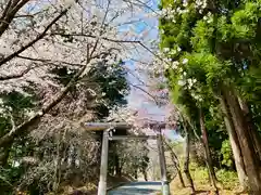 土津神社｜こどもと出世の神さまの鳥居