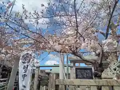 生野八坂神社の自然