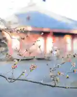 浄土寺の本殿・本堂