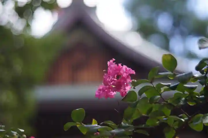 御霊神社(上御霊神社)(京都府)