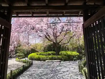 退蔵院(京都府)