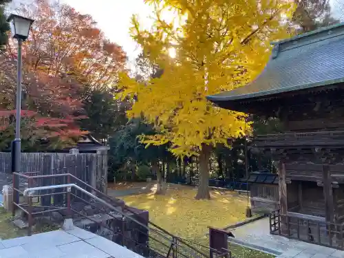 仙台東照宮(宮城県)