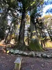 河口浅間神社(山梨県)