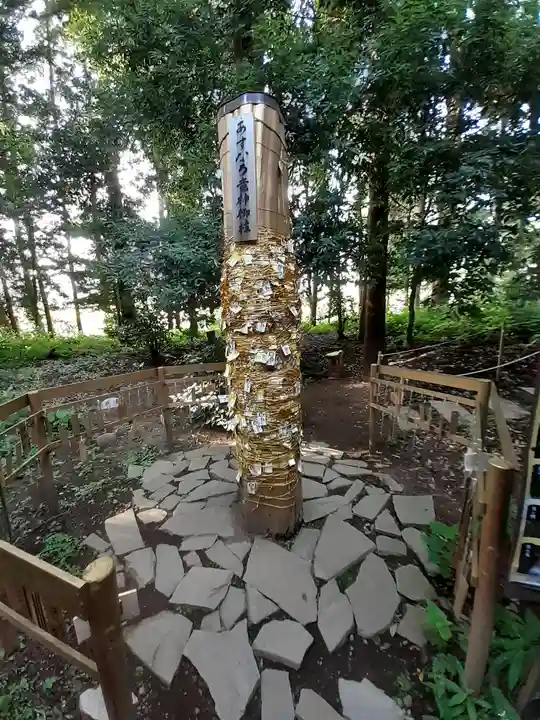 下野 星宮神社(栃木県)