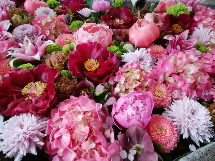 千歳神社の手水舎