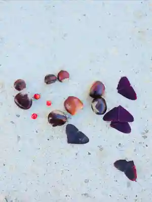 浄土寺(兵庫県)