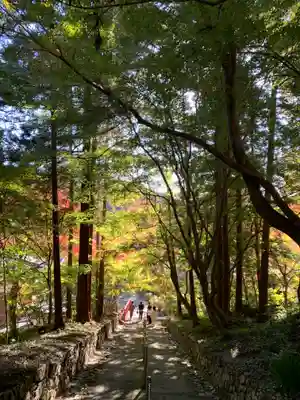 普門寺(切り絵御朱印発祥の寺)(愛知県)