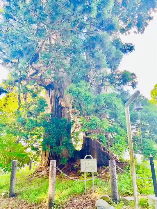 箟峯寺(宮城県)