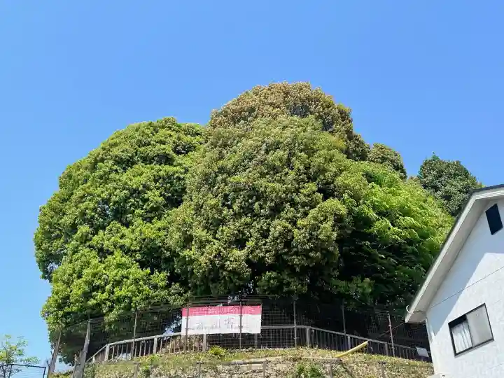 頭塔の{uncategorized: "未分類", other: "その他", undefined: "問題あり", building: "その他建物", grave: "お墓", sacred_gate: "鳥居", guardian: "狛犬", statue: "像", buddha: "仏像", history: "歴史", nature: "自然", garden: "庭園", animal: "動物", pagoda: "塔", temizu: "手水舎", mountain_gate: "山門・神門", sanctuary: "本殿・本堂", subordinate: "末社・摂社", art: "芸術", scenery: "景色", jizo: "地蔵", ema: "絵馬", goshuin: "御朱印", omikuji: "おみくじ", items: "授与品その他", amulet: "お守り", goshuincho: "御朱印帳", eats: "食事", festival: "お祭り", votive_dance: "神楽", shichigosan: "七五三参", wedding: "結婚式", experience: "体験その他", initially: "初詣", around: "周辺", anti_infection: "感染症対策"}