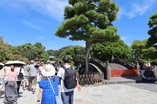 鶴岡八幡宮の庭園