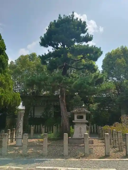 本法寺(京都府)