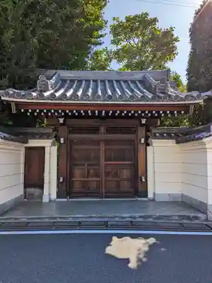 高円寺(東京都)