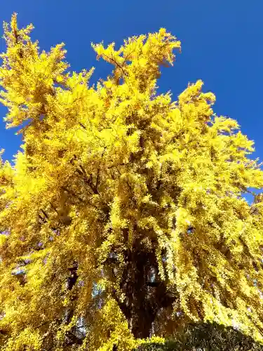 丹生酒殿神社(和歌山県)