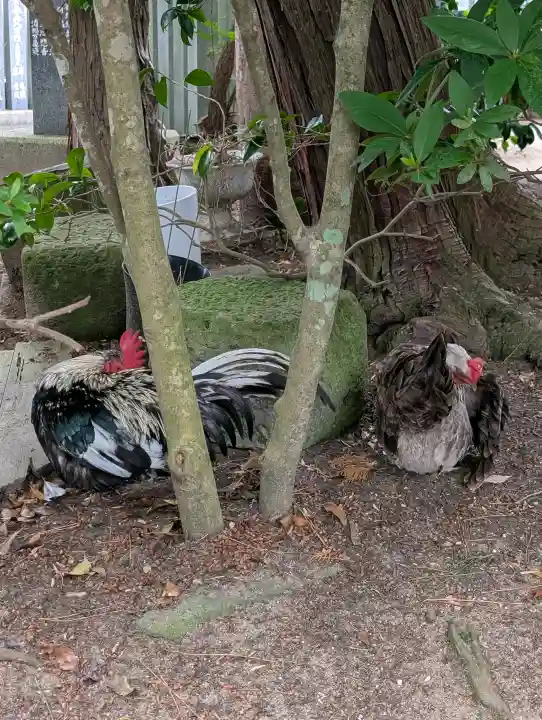 賀露神社(鳥取県)