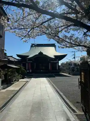 本久寺の{uncategorized: "未分類", other: "その他", undefined: "問題あり", building: "その他建物", grave: "お墓", sacred_gate: "鳥居", guardian: "狛犬", statue: "像", buddha: "仏像", history: "歴史", nature: "自然", garden: "庭園", animal: "動物", pagoda: "塔", temizu: "手水舎", mountain_gate: "山門・神門", sanctuary: "本殿・本堂", subordinate: "末社・摂社", art: "芸術", scenery: "景色", jizo: "地蔵", ema: "絵馬", goshuin: "御朱印", omikuji: "おみくじ", items: "授与品その他", amulet: "お守り", goshuincho: "御朱印帳", eats: "食事", festival: "お祭り", votive_dance: "神楽", shichigosan: "七五三参", wedding: "結婚式", experience: "体験その他", initially: "初詣", around: "周辺", anti_infection: "感染症対策"}