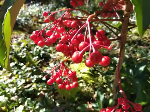 三千院門跡(京都府)