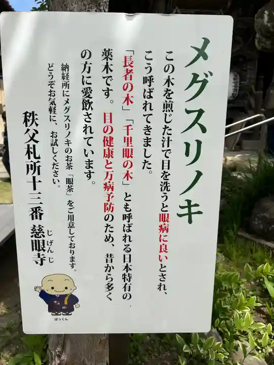 秩父札所十三番 慈眼寺の自然