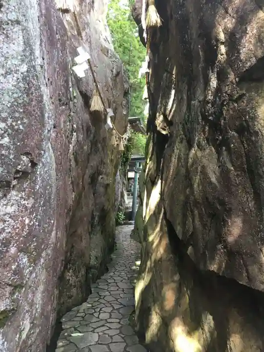 阿賀神社の自然