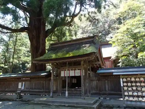 若狭姫神社（若狭彦神社下社）の本殿・本堂