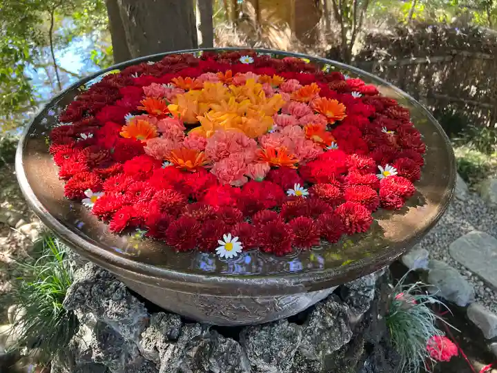 武蔵一宮氷川神社(埼玉県)