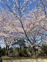 貴船神社の自然